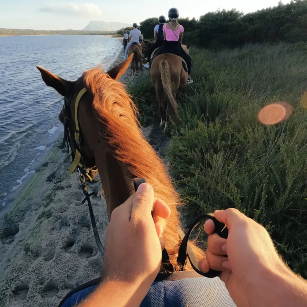 Gopro Head Strap 2.0 Hovedfeste