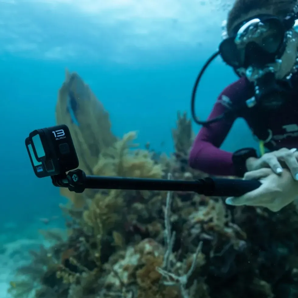 Gopro Hero 13 Black
