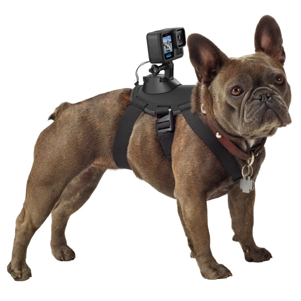 Gopro Hero 13 Black