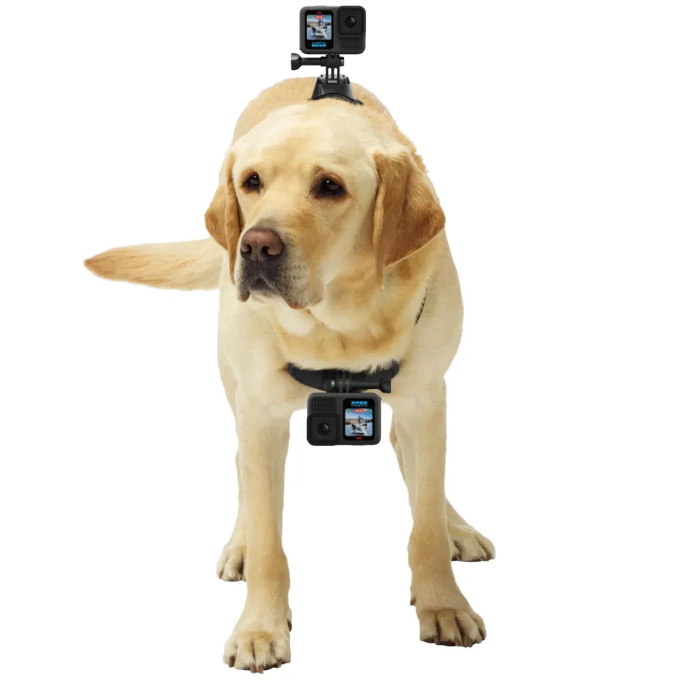 Gopro Hero 13 Black