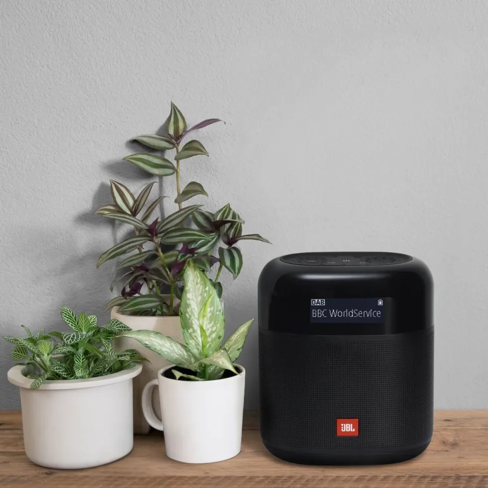 JBL Tuner XL Radio med Dab+ og Bluetooth
