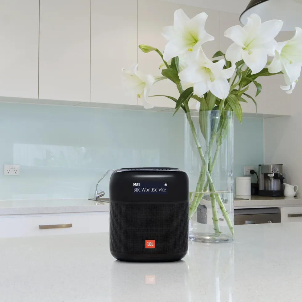 JBL Tuner XL Radio med Dab+ og Bluetooth