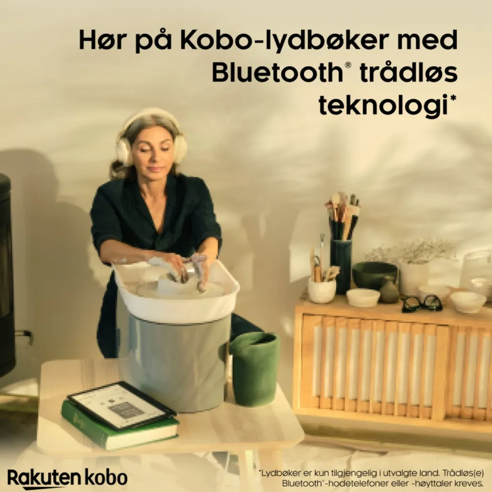 Kobo Notebook Elipsa 2E med Kobo Stylus 2