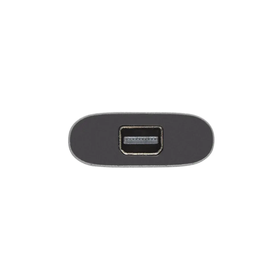 Luxorparts Adapter USB-C til Mini-displayport