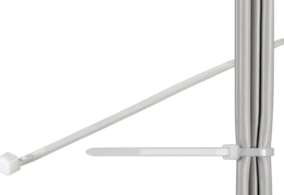 Luxorparts Buntebånd 200 x 4,8 mm 100-pk. Transparent
