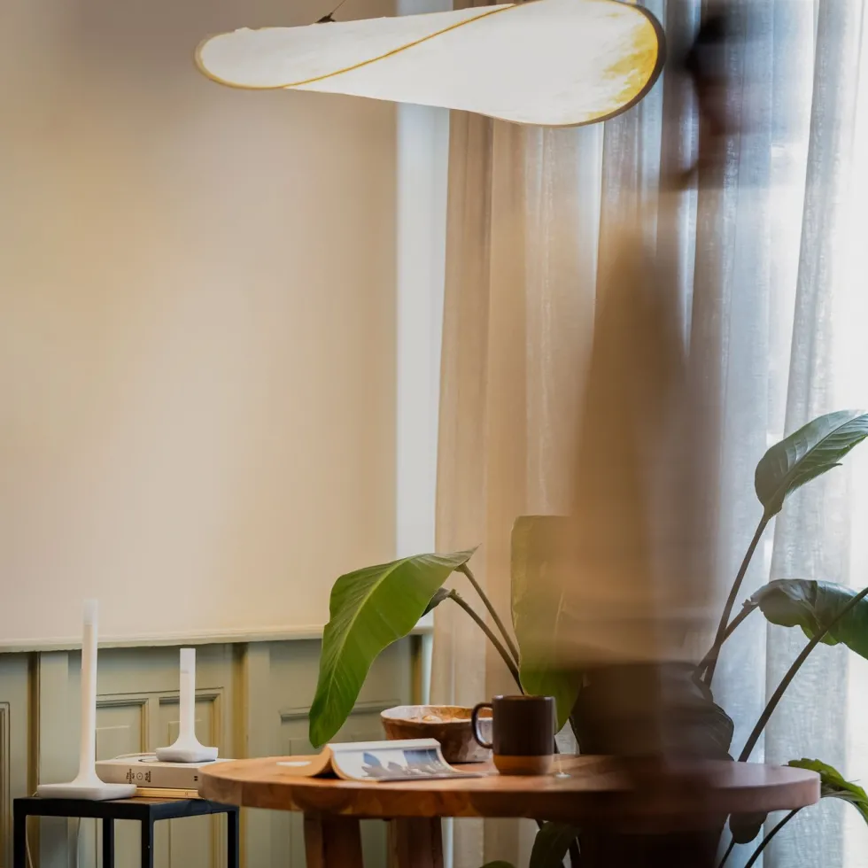 Nabucasa Home Assistant Connect ZBT-2