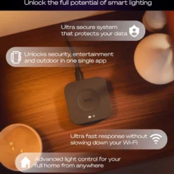 Philips Hue Bridge Pro Bro