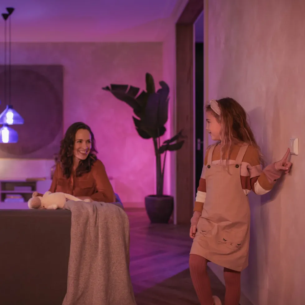 Philips Hue Veggbrytermodul 2-pk.