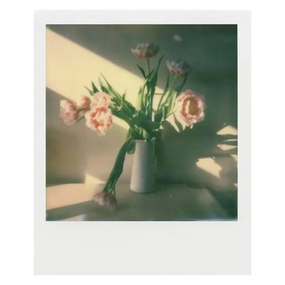 Polaroid Film til Polaroid Now og Onestep 2 i-Type Farge