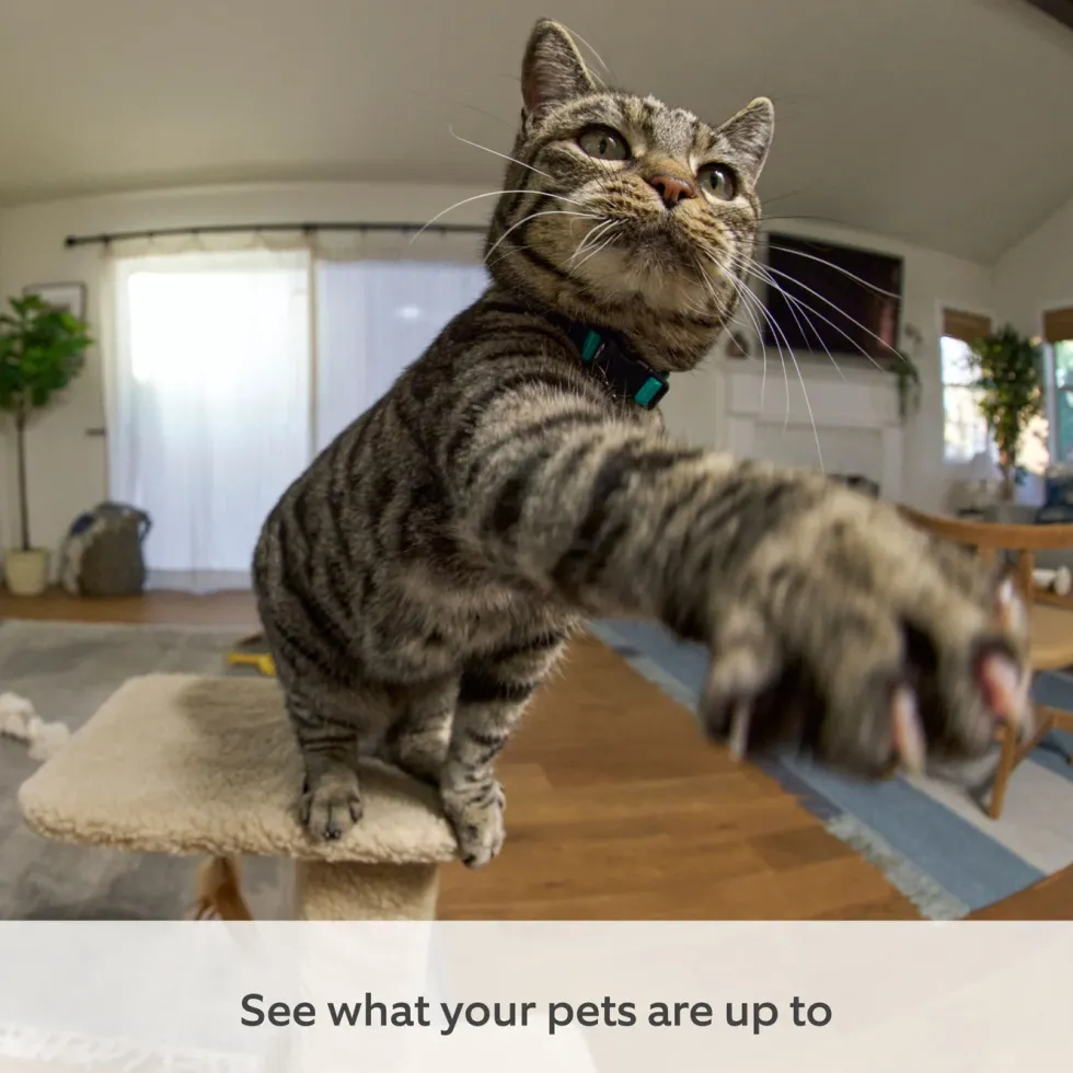 Ring Pan-Tilt Indoor Camera Hvit
