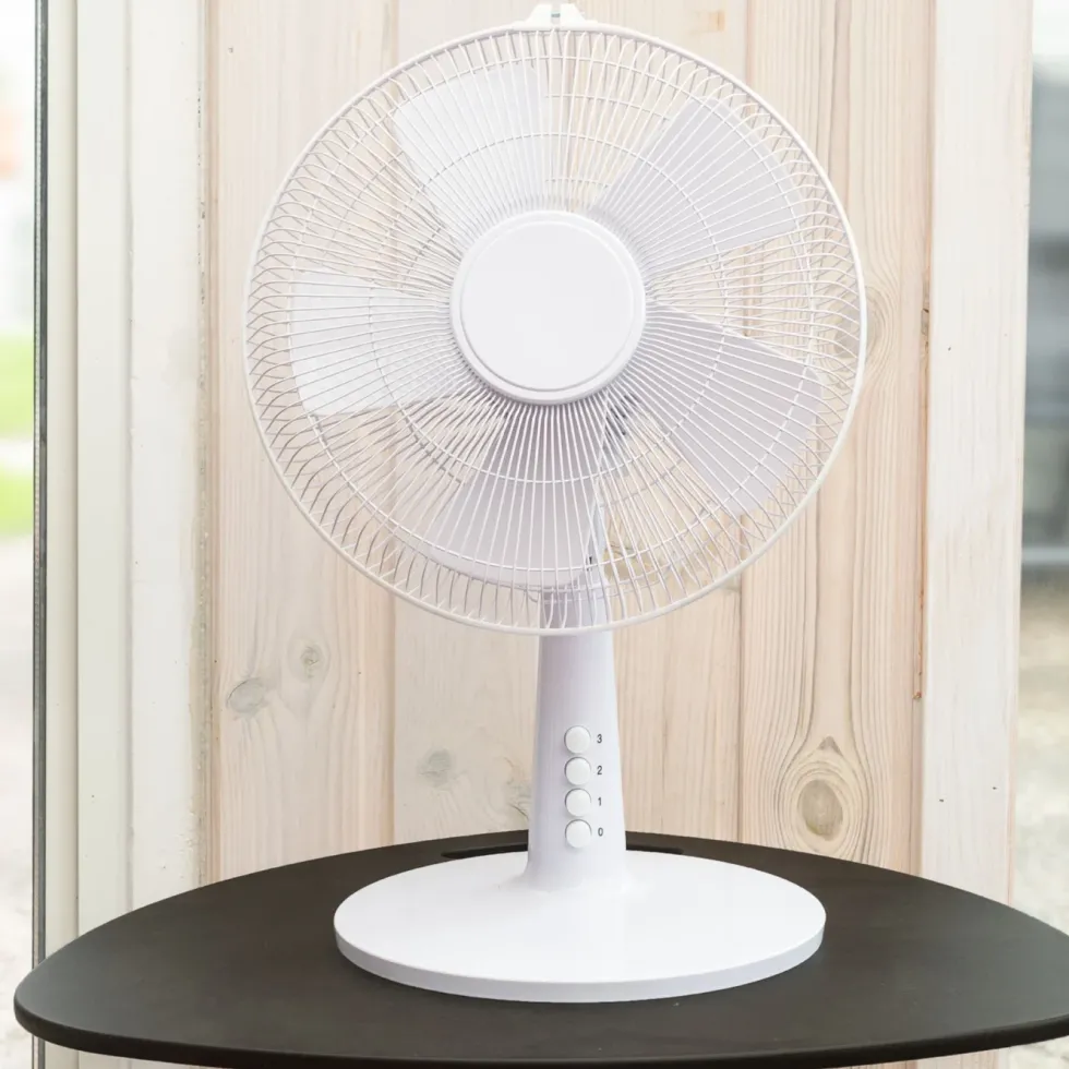 Rubicson Bordvifte Ø30 cm
