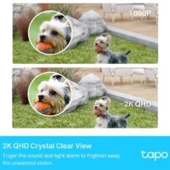TP-Link Tapo C420S2 Trådløst overvåkingskamera 2-pack