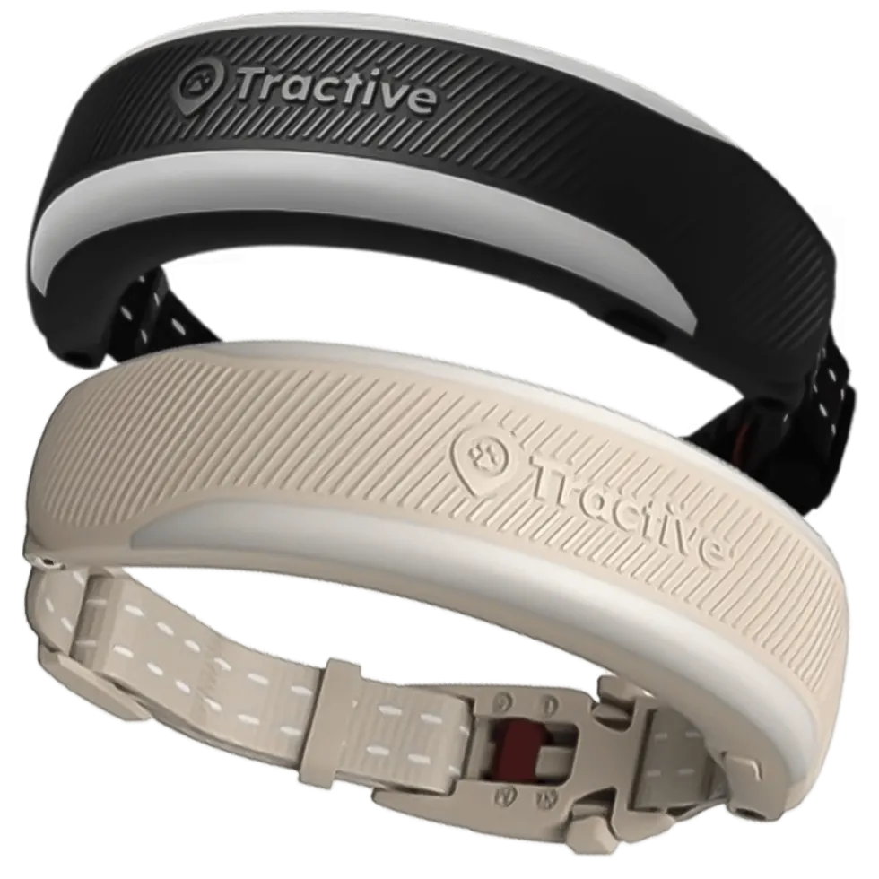 Tractive CAT 6 Mini GPS-halsbånd for katt med helsesporing Svart