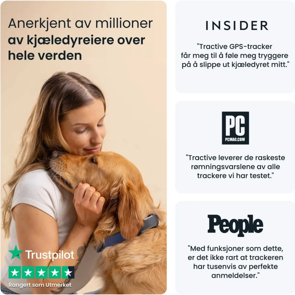 Tractive DOG 6 – GPS-hundehalsbånd og helseovervåking