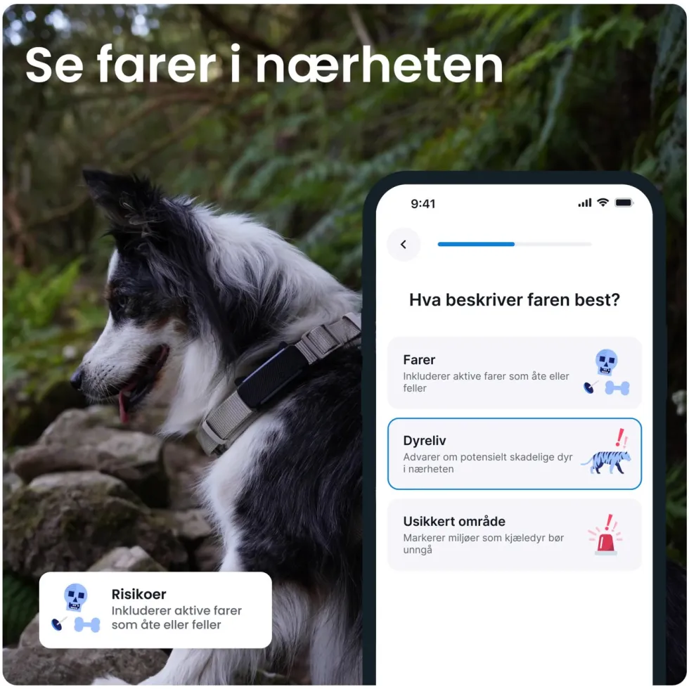 Tractive DOG 6 – GPS-hundehalsbånd og helseovervåking