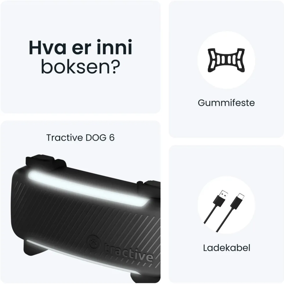 Tractive DOG 6 – GPS-hundehalsbånd og helseovervåking