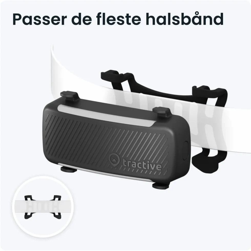 Tractive DOG 6 – GPS-hundehalsbånd og helseovervåking