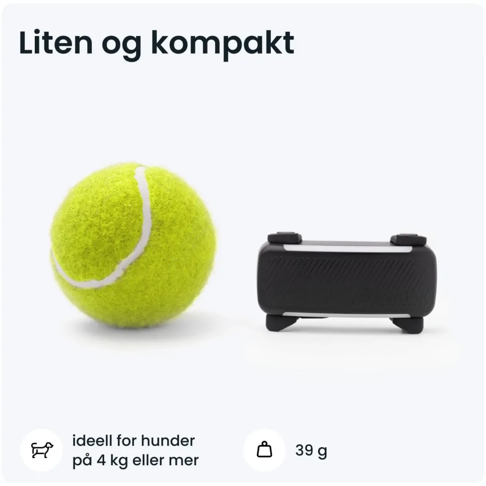 Tractive DOG 6 – GPS-hundehalsbånd og helseovervåking