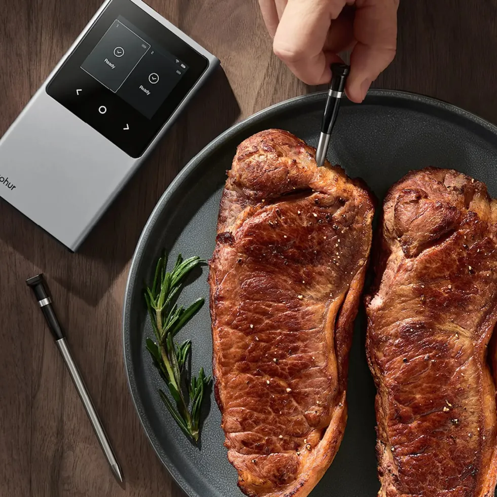 Typhur Sync Dual trådløst grill- og steketermometer med to sonder