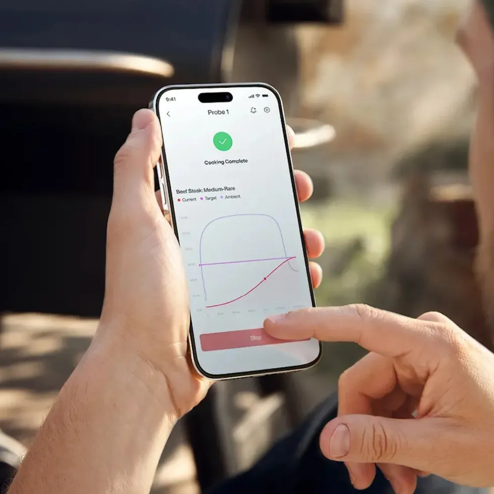 Typhur Sync Dual trådløst grill- og steketermometer med to sonder