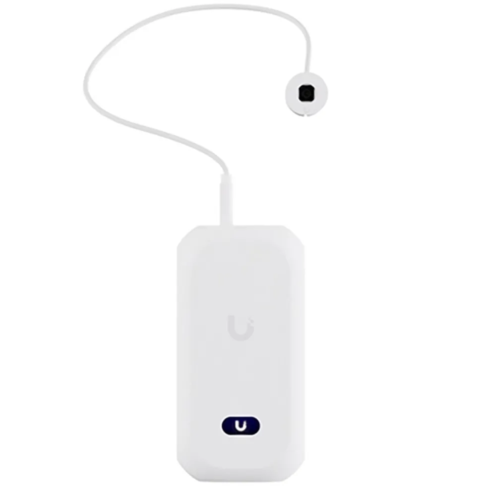 Ubiquiti AI Theta Professional Overvåkingskamera