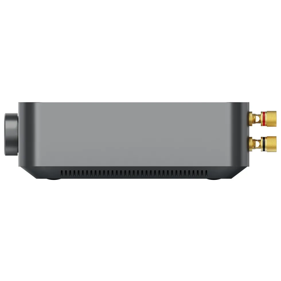 WiiM Amp Stereoforsterker med streaming