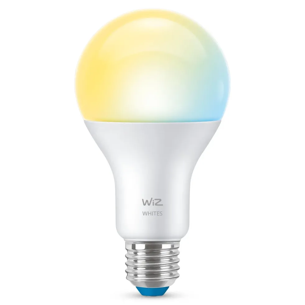 WiZ A67 Smart LED-pære E27 1521 lm